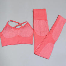 Load image into Gallery viewer, 2PCS/Set Women&#39;s Seamless Fitness Suits - Bicycle Bits
