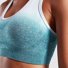 Load image into Gallery viewer, Ombre Seamless Padded Sports Bra
